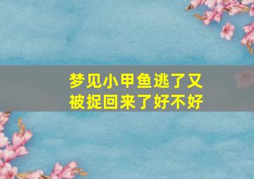 梦见小甲鱼逃了又被捉回来了好不好