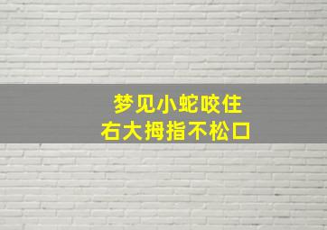 梦见小蛇咬住右大拇指不松口