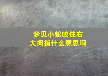 梦见小蛇咬住右大拇指什么意思啊