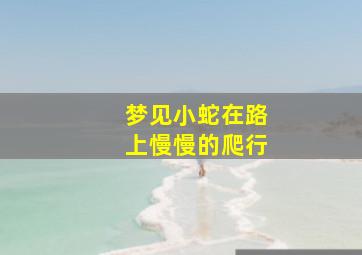 梦见小蛇在路上慢慢的爬行