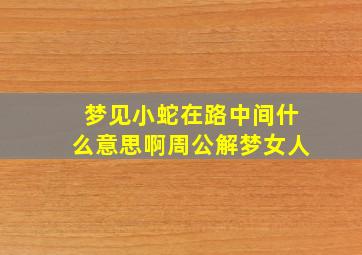 梦见小蛇在路中间什么意思啊周公解梦女人