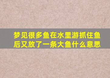 梦见很多鱼在水里游抓住鱼后又放了一条大鱼什么意思