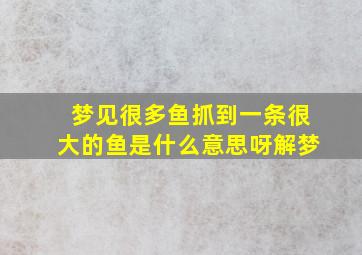 梦见很多鱼抓到一条很大的鱼是什么意思呀解梦