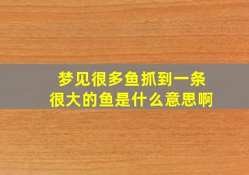 梦见很多鱼抓到一条很大的鱼是什么意思啊