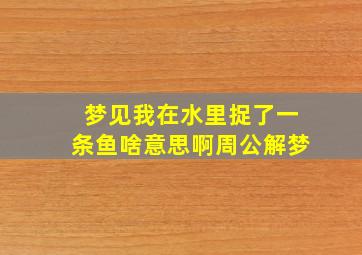 梦见我在水里捉了一条鱼啥意思啊周公解梦