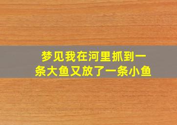 梦见我在河里抓到一条大鱼又放了一条小鱼