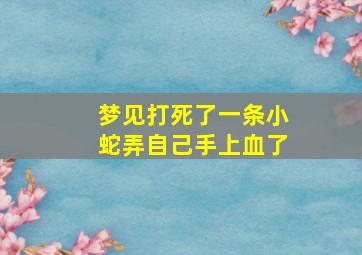 梦见打死了一条小蛇弄自己手上血了