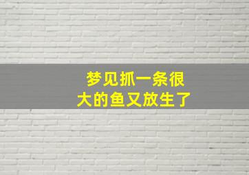 梦见抓一条很大的鱼又放生了