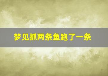 梦见抓两条鱼跑了一条