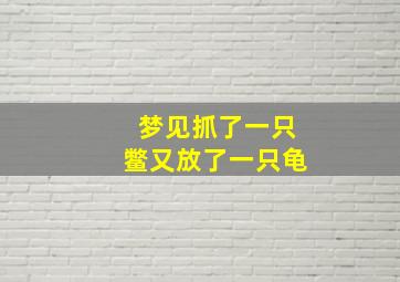 梦见抓了一只鳖又放了一只龟