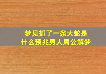 梦见抓了一条大蛇是什么预兆男人周公解梦