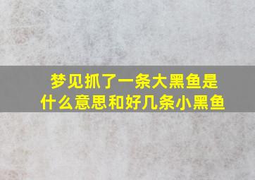 梦见抓了一条大黑鱼是什么意思和好几条小黑鱼