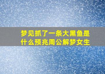 梦见抓了一条大黑鱼是什么预兆周公解梦女生