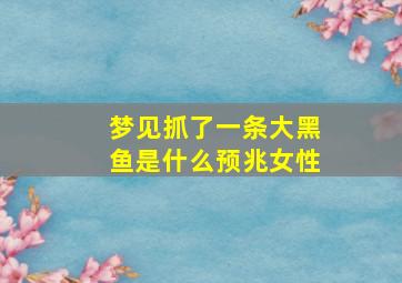 梦见抓了一条大黑鱼是什么预兆女性