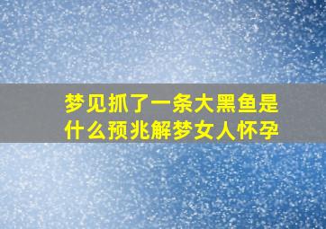 梦见抓了一条大黑鱼是什么预兆解梦女人怀孕