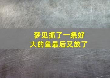 梦见抓了一条好大的鱼最后又放了