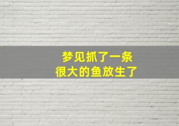 梦见抓了一条很大的鱼放生了