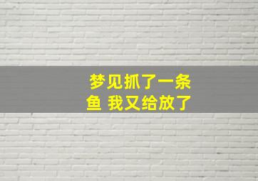 梦见抓了一条鱼 我又给放了