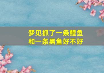 梦见抓了一条鲤鱼和一条黑鱼好不好