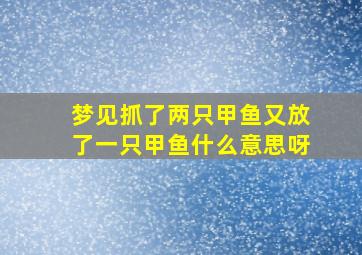 梦见抓了两只甲鱼又放了一只甲鱼什么意思呀