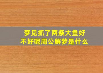 梦见抓了两条大鱼好不好呢周公解梦是什么