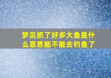 梦见抓了好多大鱼是什么意思能不能去钓鱼了