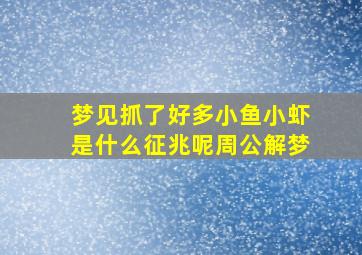 梦见抓了好多小鱼小虾是什么征兆呢周公解梦