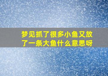 梦见抓了很多小鱼又放了一条大鱼什么意思呀