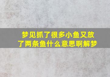 梦见抓了很多小鱼又放了两条鱼什么意思啊解梦