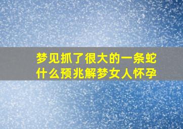 梦见抓了很大的一条蛇什么预兆解梦女人怀孕