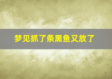 梦见抓了条黑鱼又放了