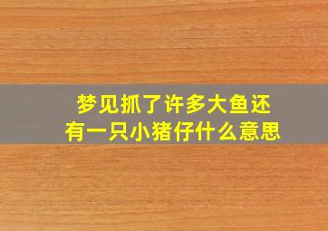 梦见抓了许多大鱼还有一只小猪仔什么意思