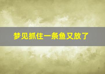 梦见抓住一条鱼又放了