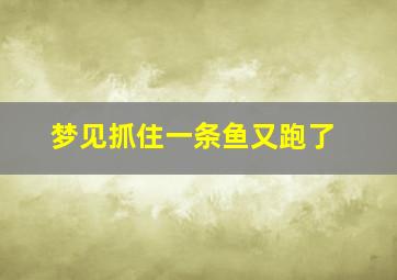 梦见抓住一条鱼又跑了