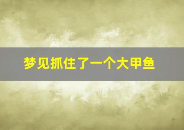 梦见抓住了一个大甲鱼