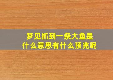 梦见抓到一条大鱼是什么意思有什么预兆呢