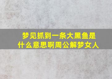 梦见抓到一条大黑鱼是什么意思啊周公解梦女人