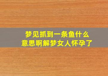 梦见抓到一条鱼什么意思啊解梦女人怀孕了