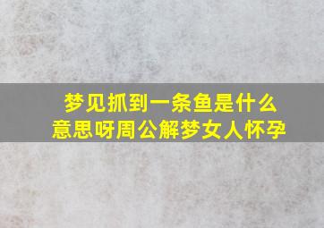 梦见抓到一条鱼是什么意思呀周公解梦女人怀孕