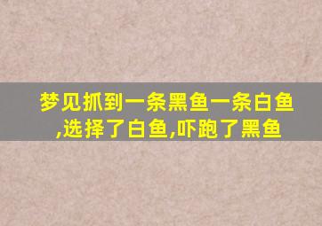 梦见抓到一条黑鱼一条白鱼,选择了白鱼,吓跑了黑鱼