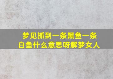 梦见抓到一条黑鱼一条白鱼什么意思呀解梦女人