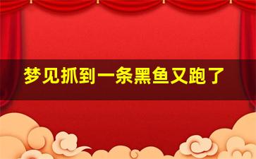 梦见抓到一条黑鱼又跑了