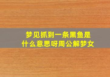 梦见抓到一条黑鱼是什么意思呀周公解梦女