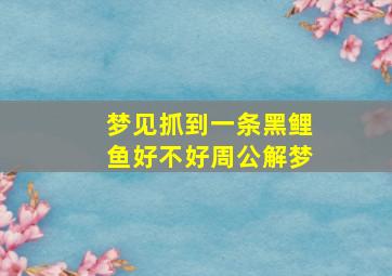 梦见抓到一条黑鲤鱼好不好周公解梦