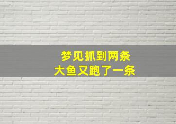 梦见抓到两条大鱼又跑了一条