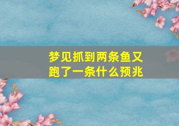 梦见抓到两条鱼又跑了一条什么预兆