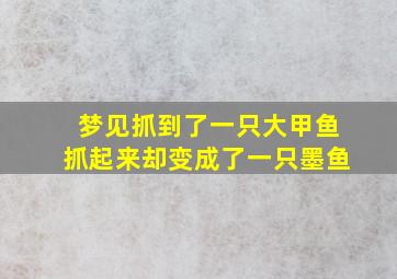 梦见抓到了一只大甲鱼抓起来却变成了一只墨鱼