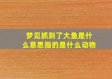 梦见抓到了大鱼是什么意思指的是什么动物