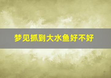 梦见抓到大水鱼好不好