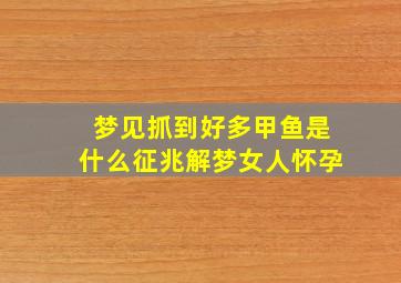 梦见抓到好多甲鱼是什么征兆解梦女人怀孕